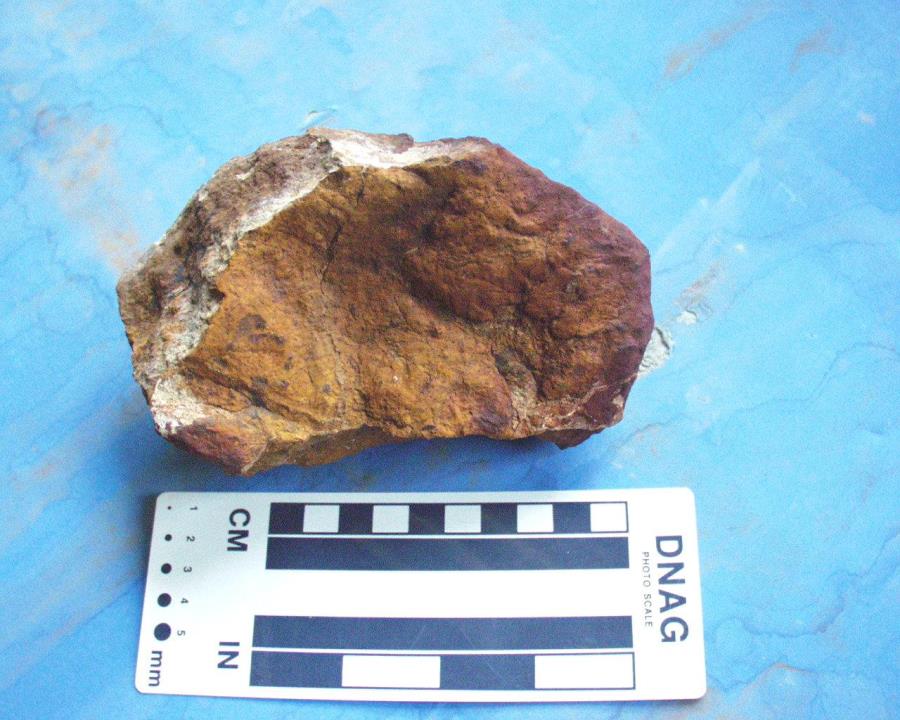 Mineral Deposit Details