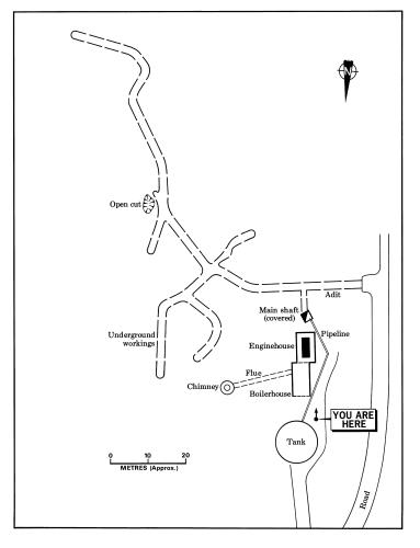 Mineral Deposit Details